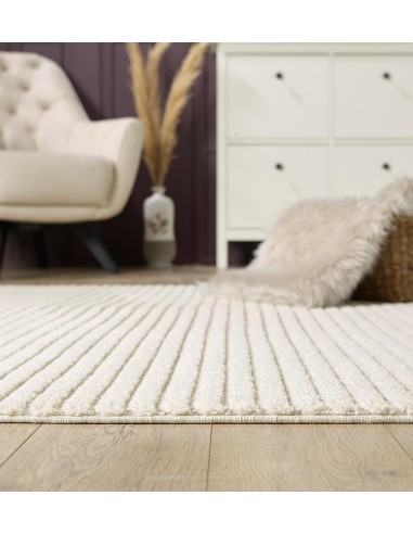 Stylish and Durable MONACO Rugs –...