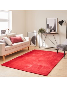Loft rouge à poils doux 2