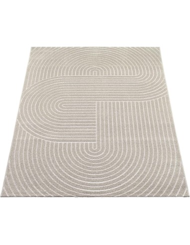 Tapis Intérieur/Extérieur Moderne... Tapis Intérieur/Extérieur Moderne...