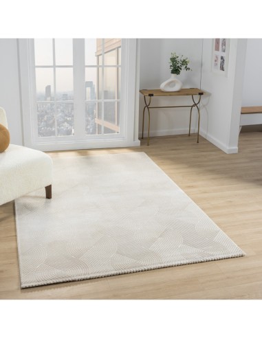 copy of Tapis de salon NORA 5700 Beige