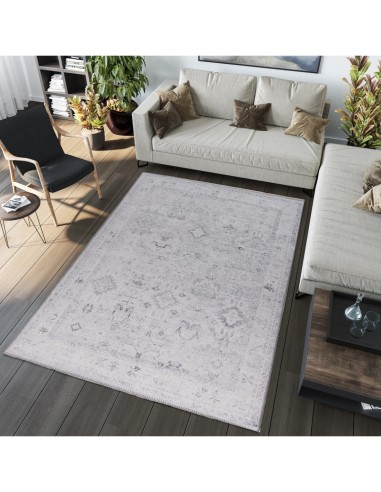 Tapis de salon VINTAGE 3570 Gris