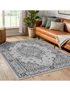 Tapis de salon Orient 2