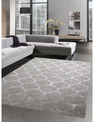 Tapis Studio Quadrilobe Gris Motif...
