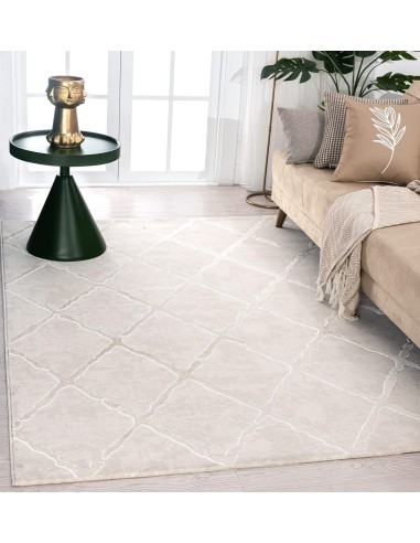 copy of Tapis Studio Quadrilobe Beige